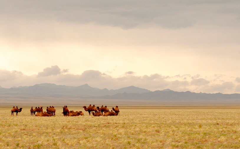 Mongolia